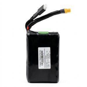 Li-Ion battery pack 6S2P, 10000 mAh(P50B)-Molicel - Image 3